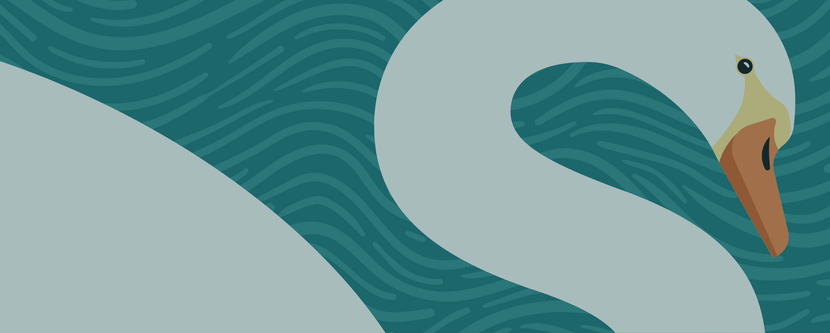 Swan Startswithaname